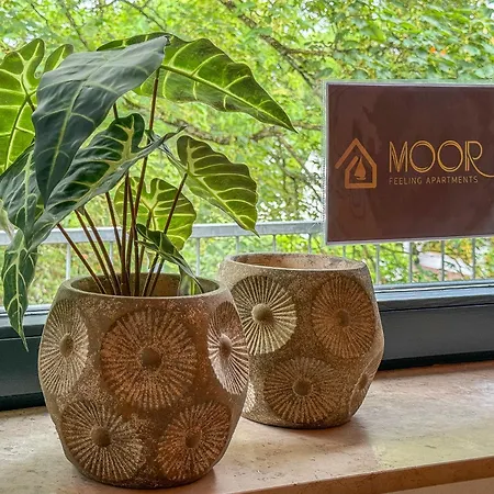 Moor Feeling Apartmán