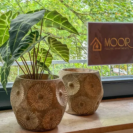 Moor Feeling Apartment