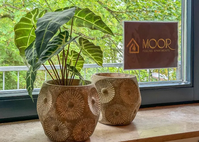 Moor Feeling Apartament